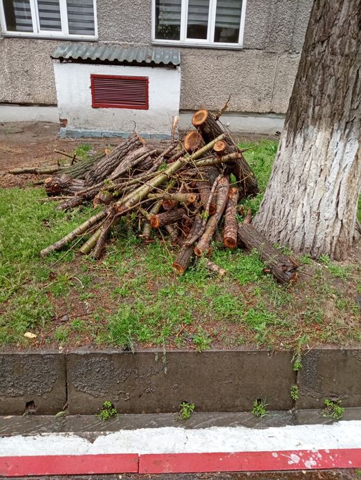 Дрова бесплатно, самовывоз