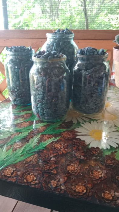 Продам жимолость