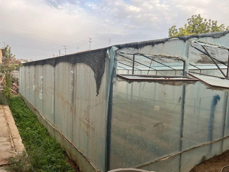 4 so’tiq hovli 1 xona xammom hojathonasi bor parnik