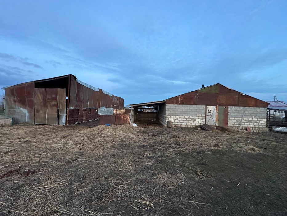 Продается кх не долеко от города