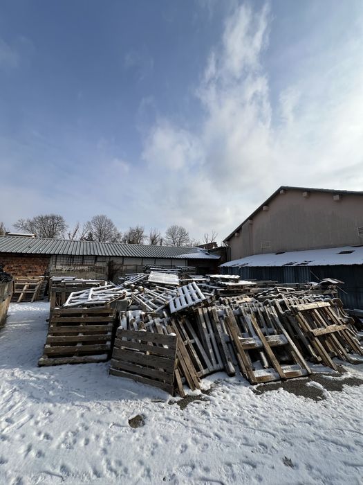 Евро палета и обикновени палета – изгодни цени