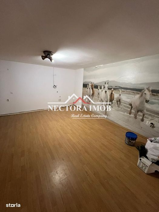 NECTORA IMOB-Casa 5 camere, 2 bai, 2 terase, 180 mp, Episcopia,Utilata