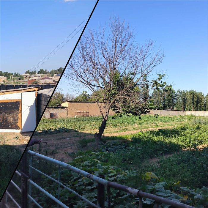 Янгийўл тумани Халқободда уй сотилади