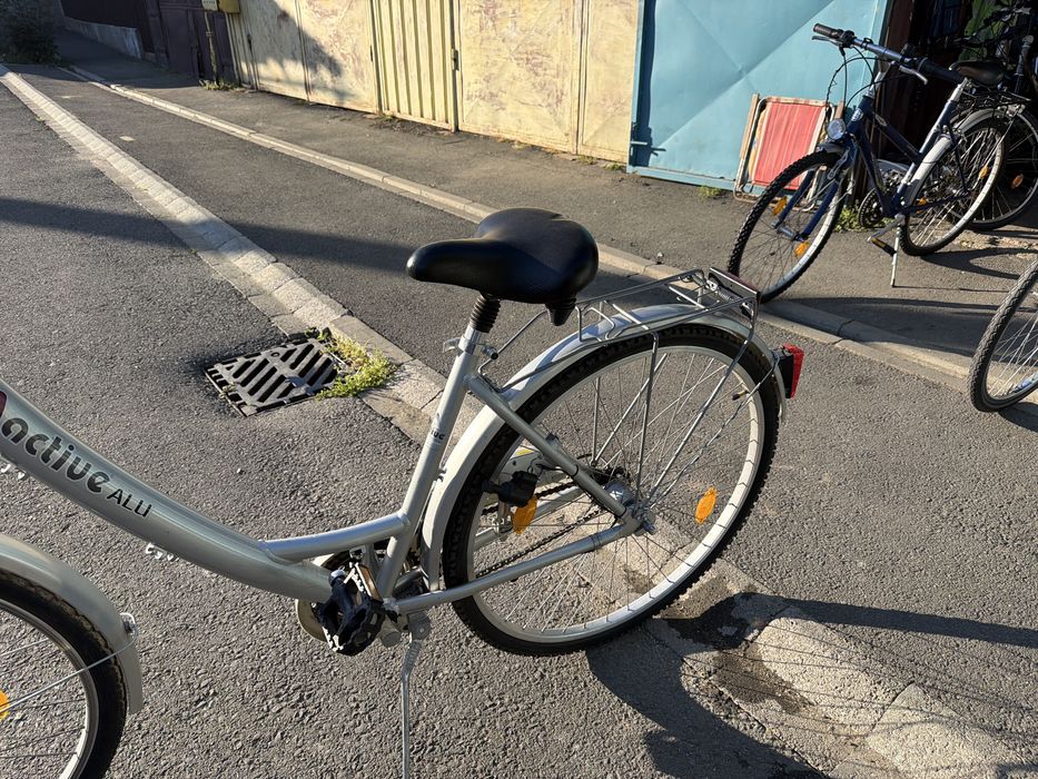 Bicicleta argintie de dama