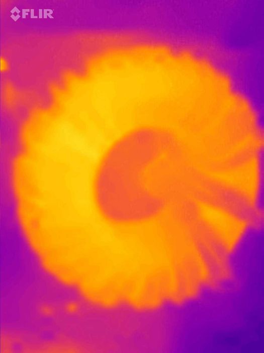 Термо камера Flir One for Android