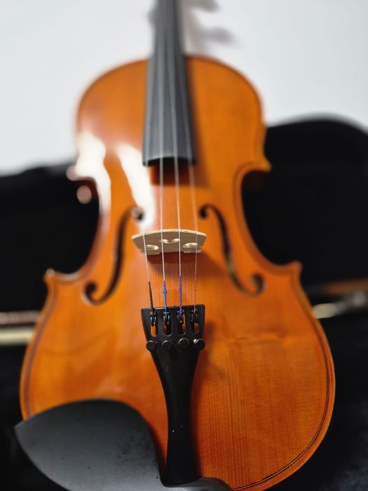 Vioara 4/4 molid si paltin cu arc si cutie