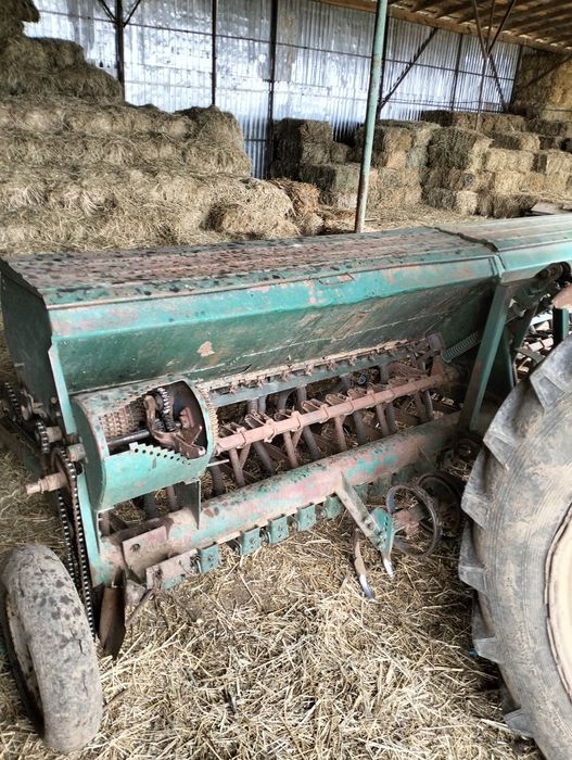 Semanatoare românească sup