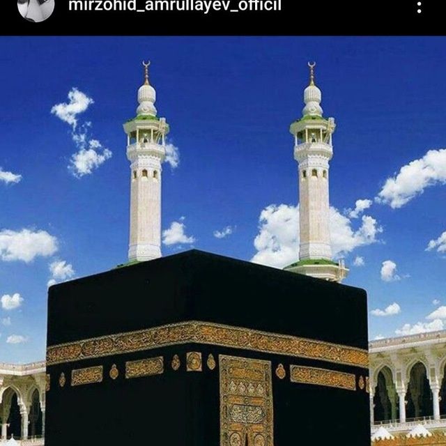 Куй юнгини олиш хизмати келишилган нархда