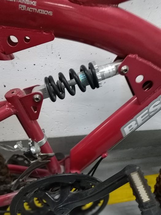 Mountain Bike  Bufalo