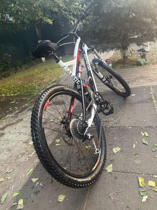 Specialized camber