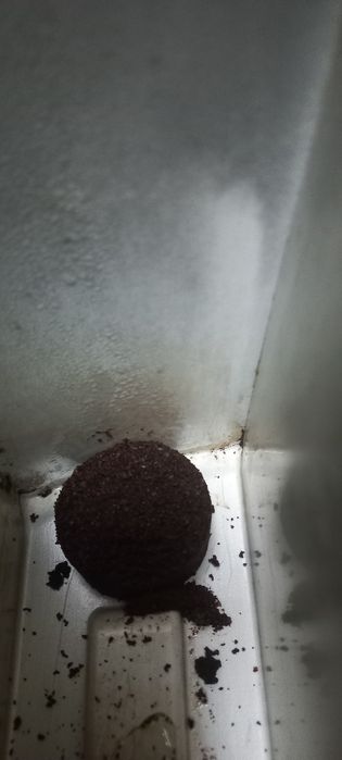 Aparat cafea Saeco Intelia