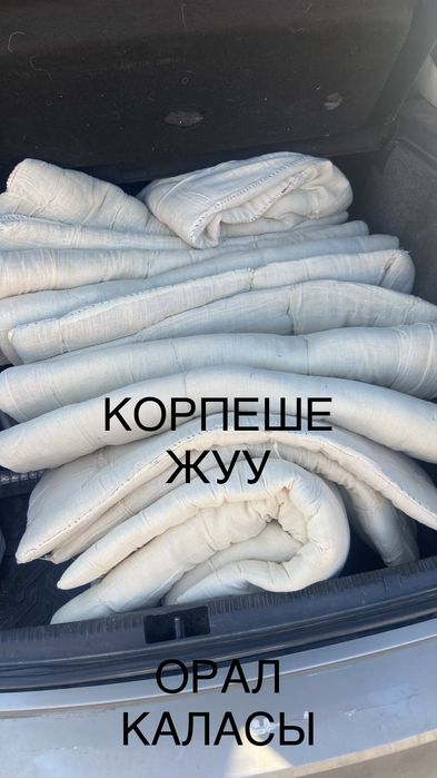 Корпеше жуу Орал / Химчистка корпе Уральск