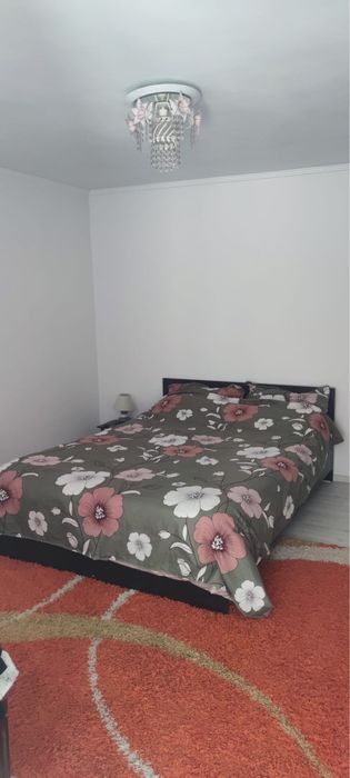 Casă renovată + livadă de pruni și vie | Dogari, Ciomăgești, Argeș
