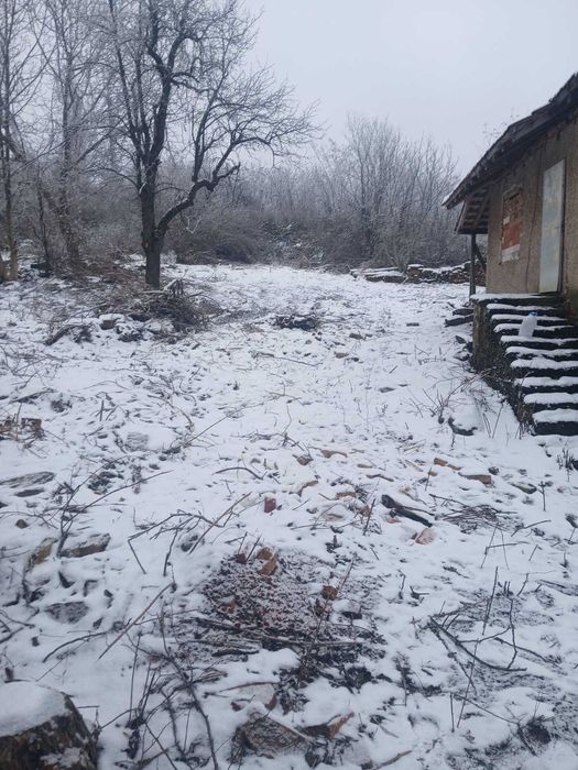 Къща в село Голяма Брестница