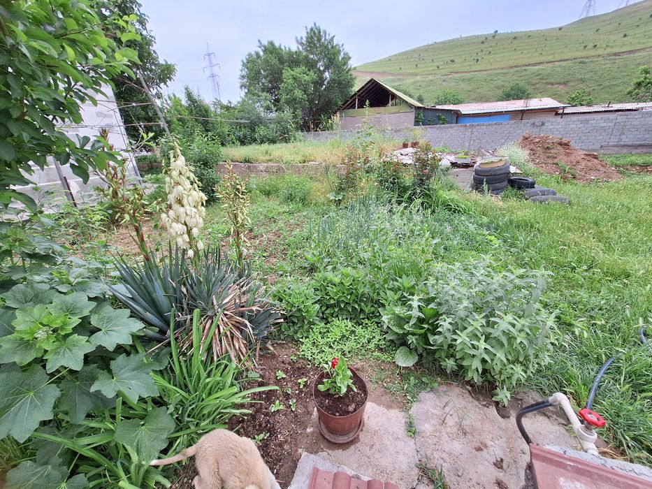 Бизнес ва дача учун ер турар жой участкаси