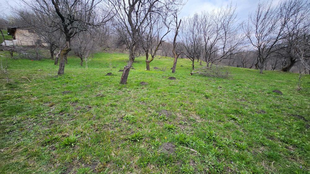 Teren 4.400 mp – Comarnic | liniște, priveliște și intimitate! [ 25€ NEGOCIABIL ]