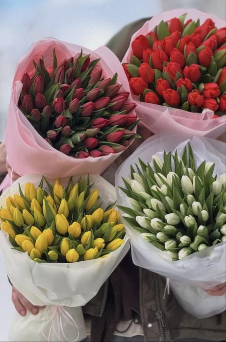 Тюльпаны в розницу, по лучшей цене !