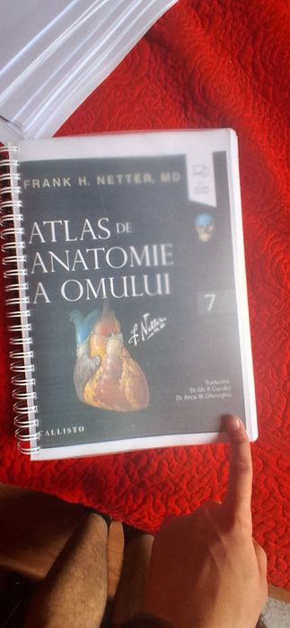 Atlas Netter anatomie printat