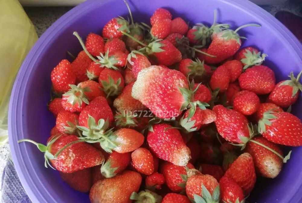 Продам дачу С/К Дорожник