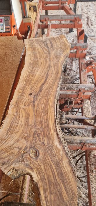 Blaturi uscate din lemn maslin