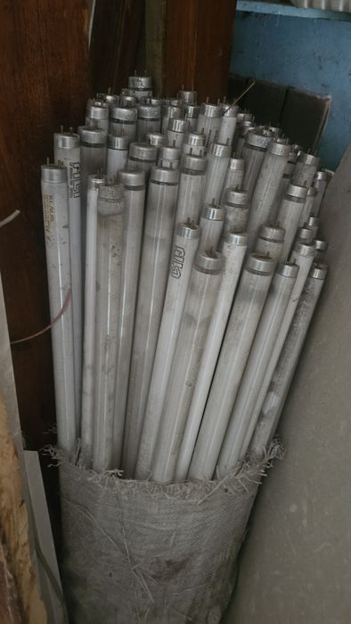 Лампочки 1000 тг штука