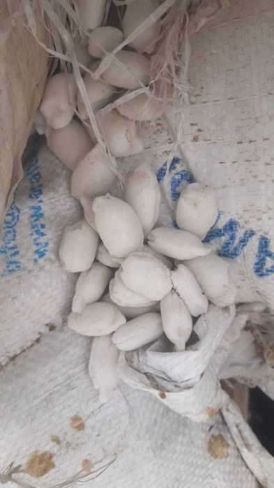 Тұз бар малға арналған.