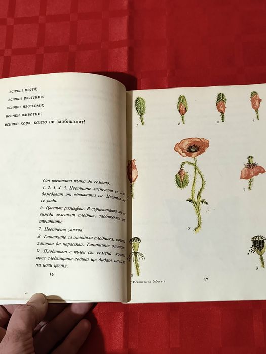 Полезни и много добре запазени книги - 25 лв за двете 
Бургас, изпраща