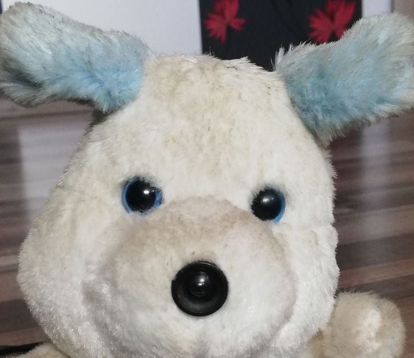 Camera WEB USB în formă de iepuraș