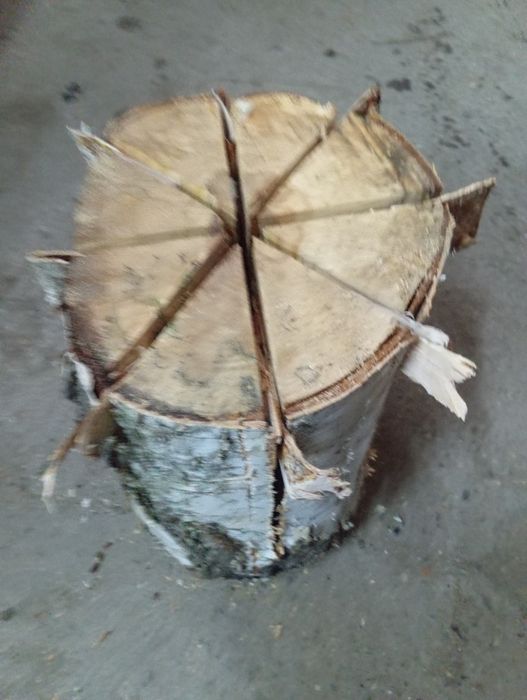 Сухая берёза свеча