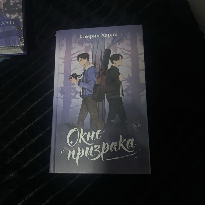Окно Призрака Камрин Харди