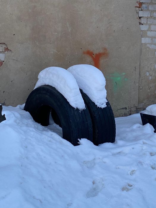 Грузовые шины 385/65 R22.5