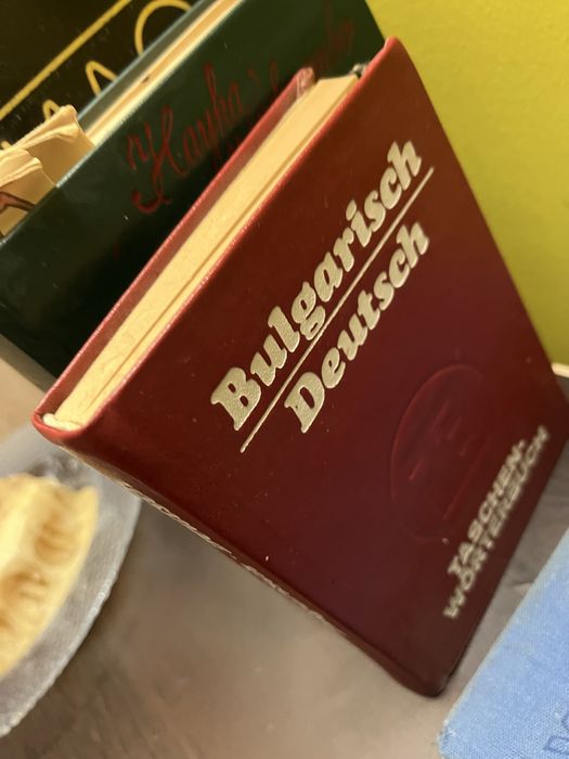 Немско-български речници