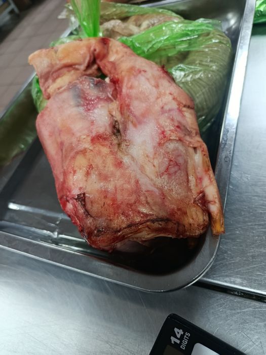 обрезь для собак