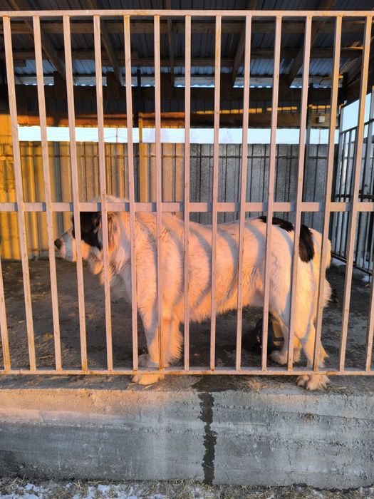 Кабель для вязки