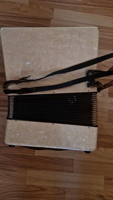 Acordeon de vânzare