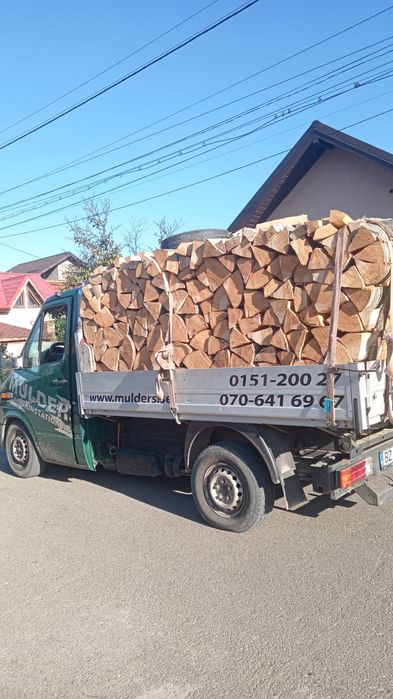 Ceuri de fag paletizate 350 paletu avem și crăpate din buștean avem și