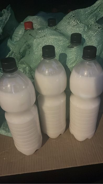 Кымыз шубат саумал