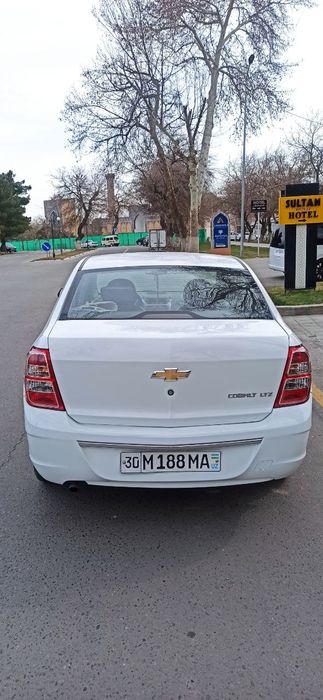 Кобольт белый 2021г.