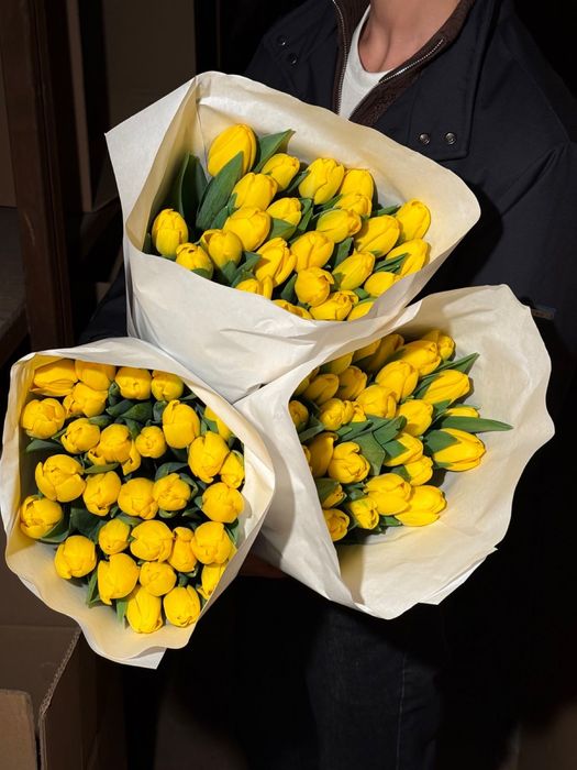 Высокие тюльпаны