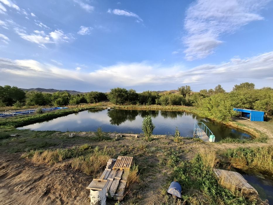 Продам действующее форелевое хозяйство