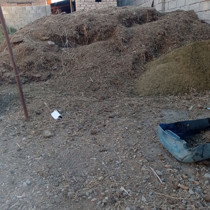 Навоз.  бесплатно