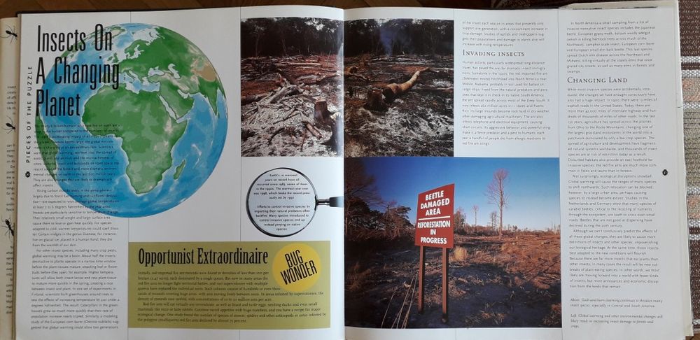 Album "Insecte", in limba engleza. Publicat in SUA