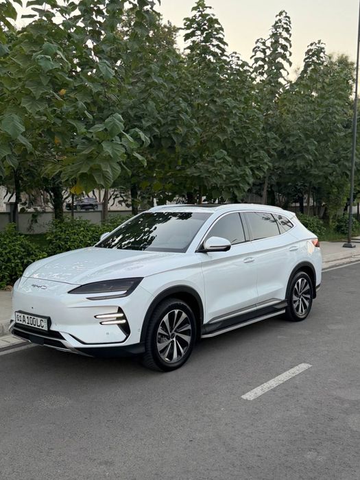 Byd Chempion 605