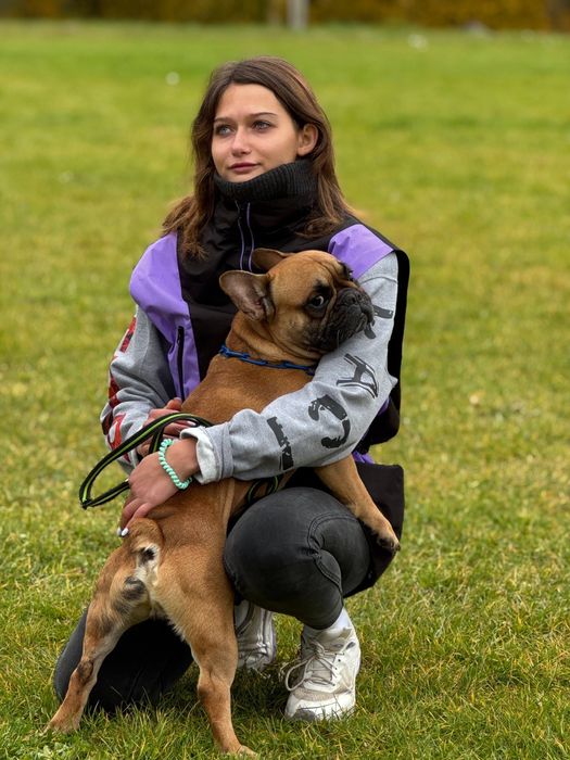 Вязка Французкого Бульдога