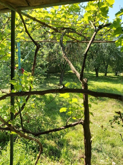 Продава се Къща в с. Габарево, Област Стара Загора - 25 кв.м за 978 €/кв.м - Снимка #4