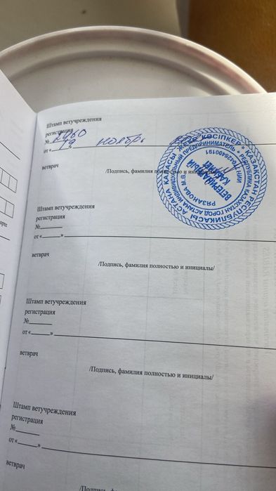 Отдам кота даром