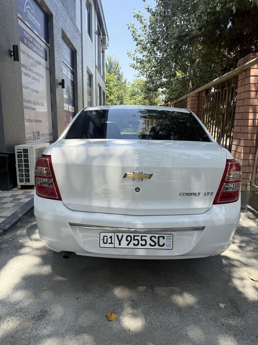 Cobalt stayl  2025