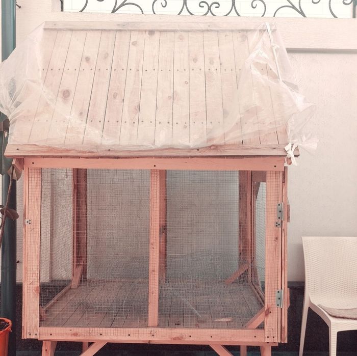 Qush va tovuq qafasi