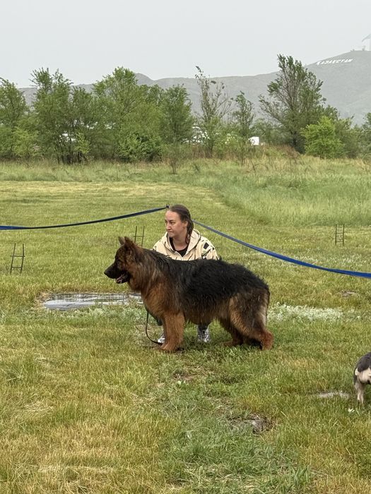 Предлагается к вязке