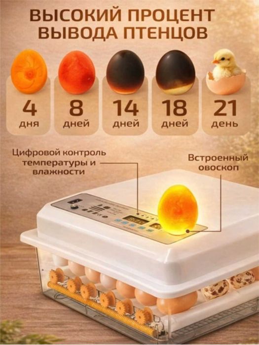 16talik avtomatik burilishli tuxum inkubatori harorat termoregulyatori